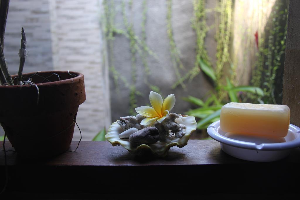 Chez Ida Apartment Ubud  Ngoại thất bức ảnh