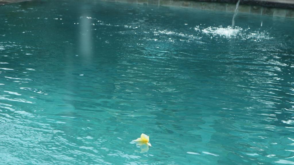 Chez Ida Apartment Ubud  Ngoại thất bức ảnh
